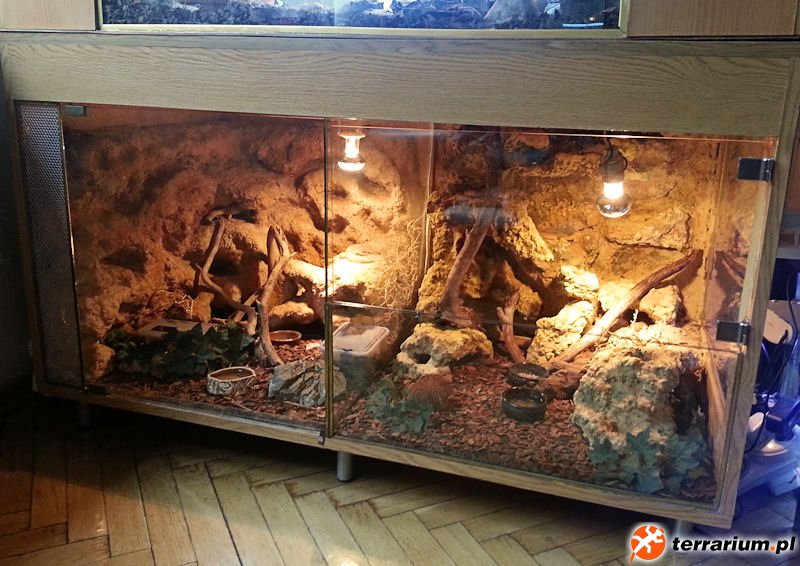Terrarium