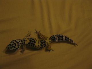 IMG 3740 IMG 3740