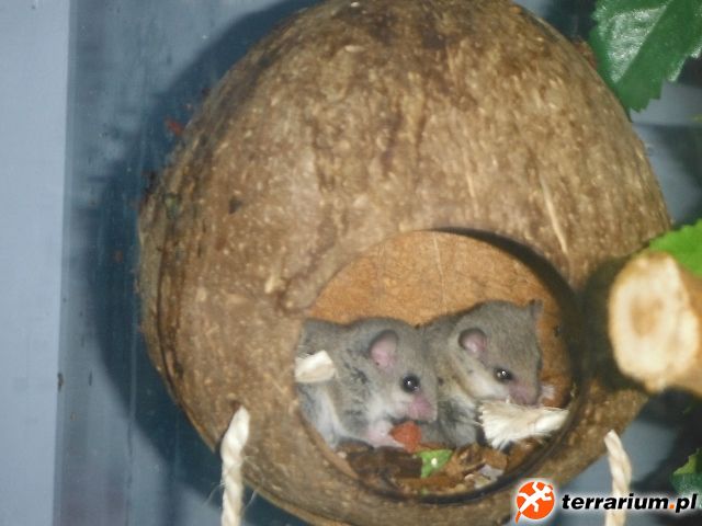 DSCF0685 (640x480)