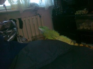 26032011059 26032011059