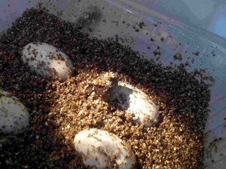 2011 08 30 14.49.37 2011 08 30 14.49.37