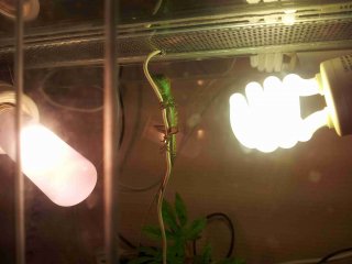 2011 08 19 12.41.45 2011 08 19 12.41.45