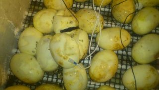 1372615370074 1372615370074