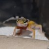 DSC06724 001