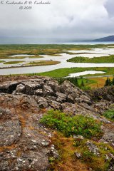 Tingvellir