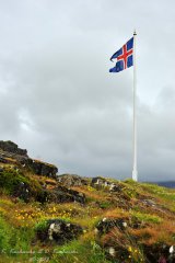 Tingvellir