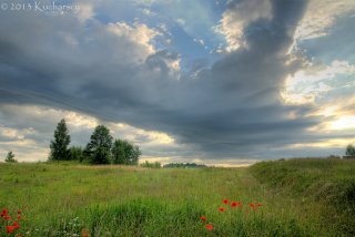 Mazurska łąka