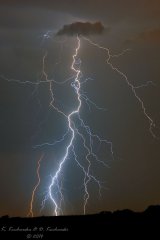 Flash - Thunder