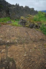 Tingvellir