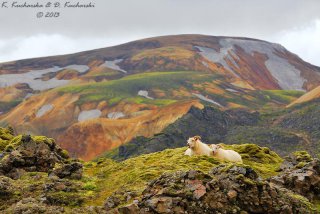 Landmannalaugar