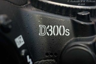 Nikon D300s