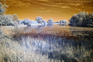 Fotografia IR