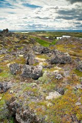 Dimmuborgir