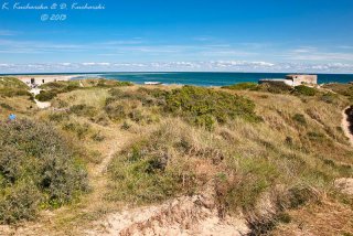 Skagen