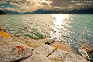 Fiord Lyngen