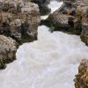 Barnofoss