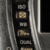 Nikon D70s panel