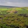Farmy koło Reykholt
