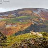 Landmannalaugar