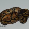 3Enchi0.1