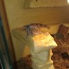20100113377