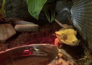 IMAG0465 1 IMAG0465 1