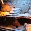 Nowe pierwsze terrarium 1