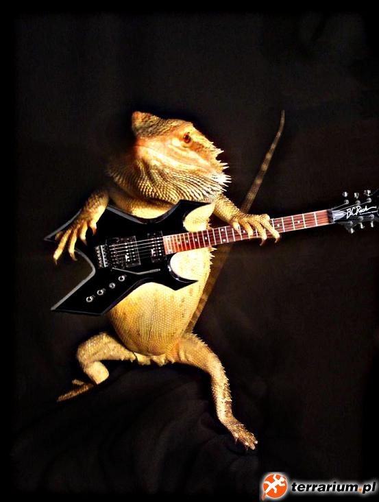 rock Man