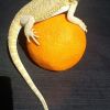 DSC04919