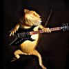 rock Man