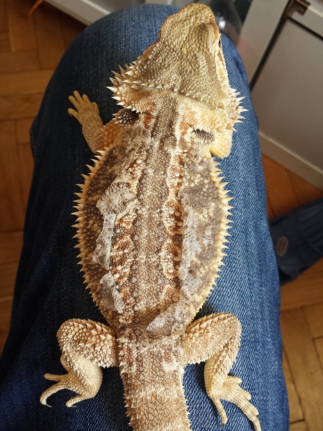 :)