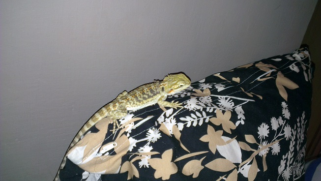 :)