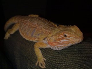 06092012343 06092012343