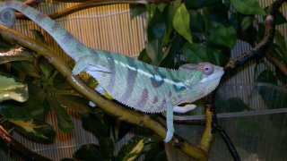 FP 4.5 - 3 FP 4.5 - 3