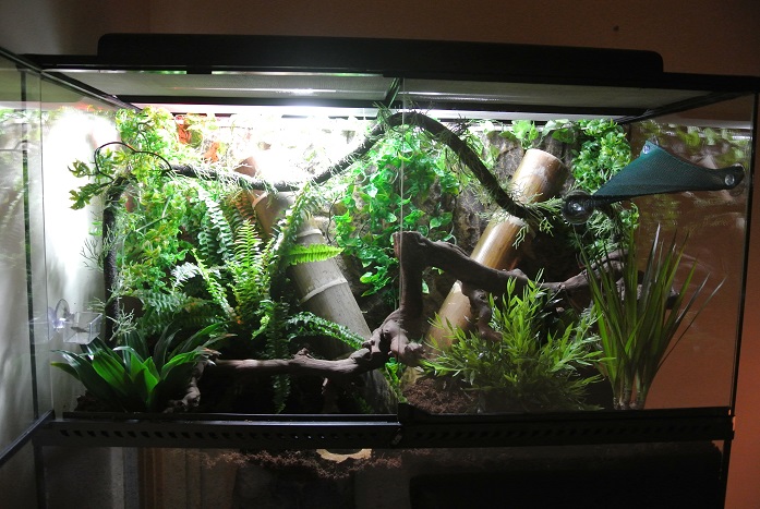 Terrarium dla Gekonow orzesionych 90x45x60