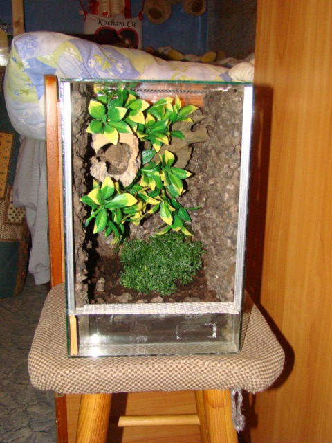 DSC00517