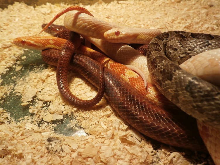 Rodzinka :)