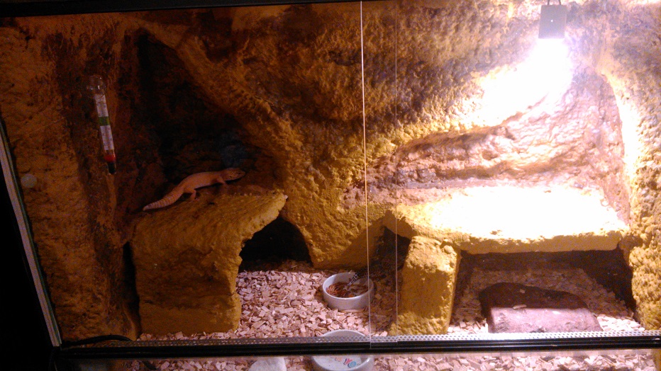 DSC 0076