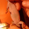 DSC 0072