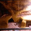 DSC 0076