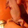 DSC 0073