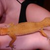 DSC 0065
