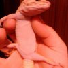 DSC 0069