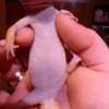DSC 0063