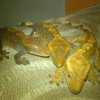 DSC 0320