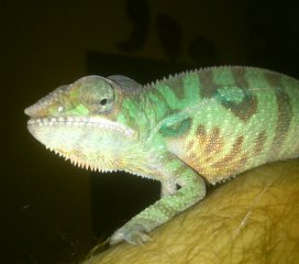 DSC 5284 1 DSC 5284 1