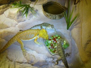 Jeszcze razem Jeszcze razem