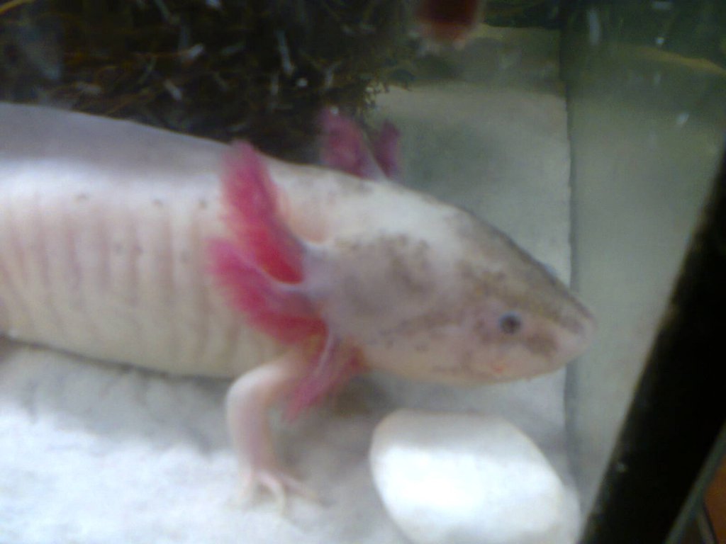 Zdjęcie0368