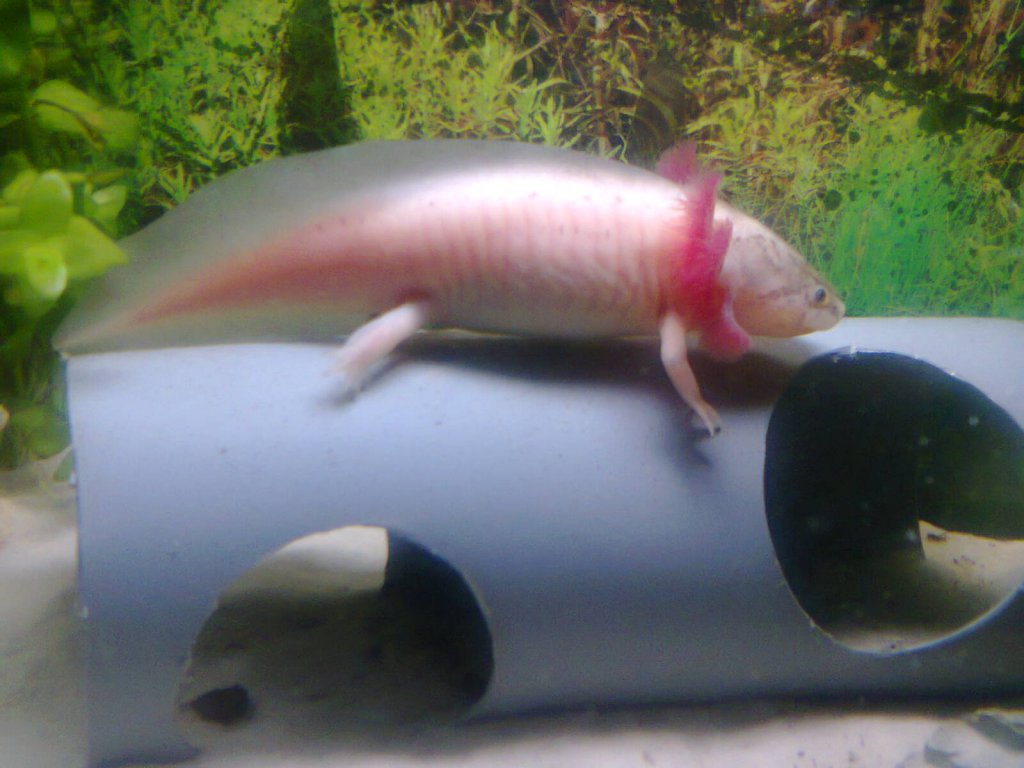 Frania :)