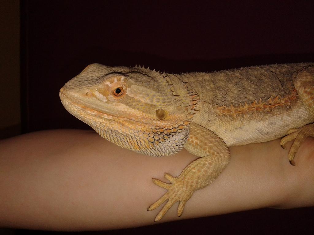 Zdjęcie 0024